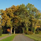 herbstfarben einfach schön