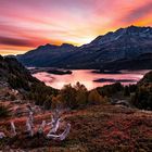 HERBSTFARBEN ENGADIN