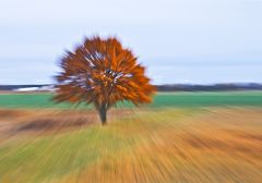 Herbstfarben "explodieren"