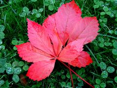 Herbstfarben