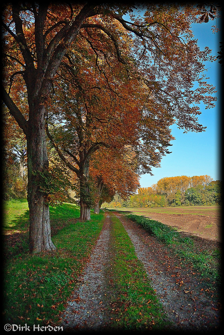 Herbstfarben