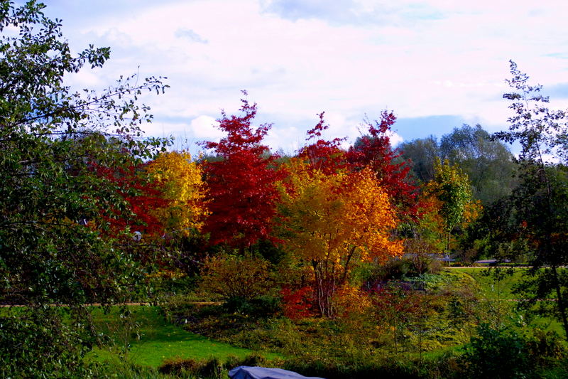 Herbstfarben