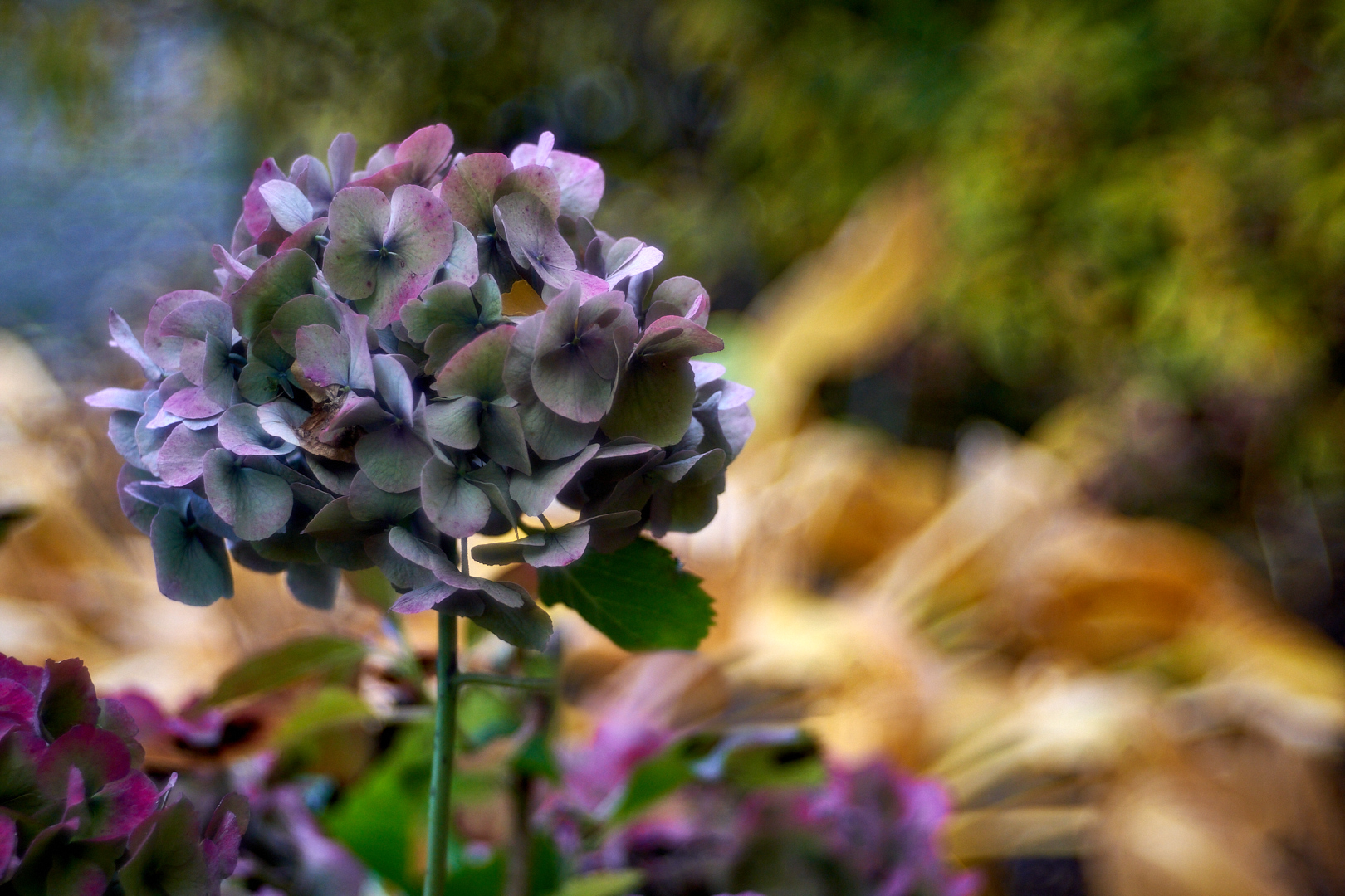 Herbstfarben