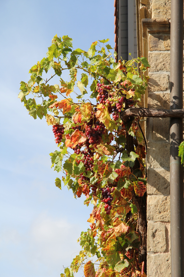 Herbstfarben