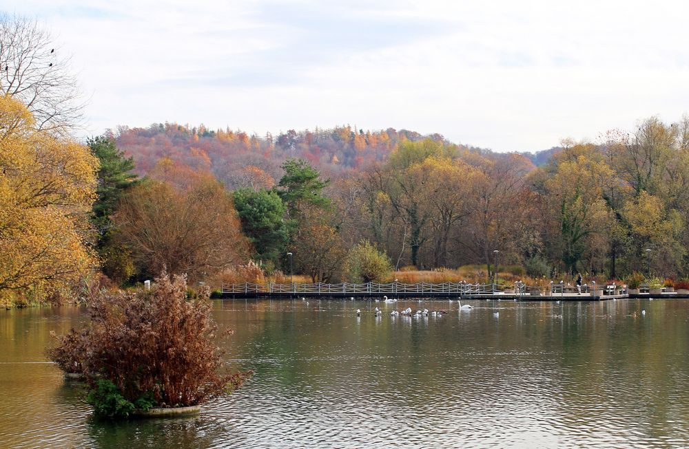 Herbstfarben