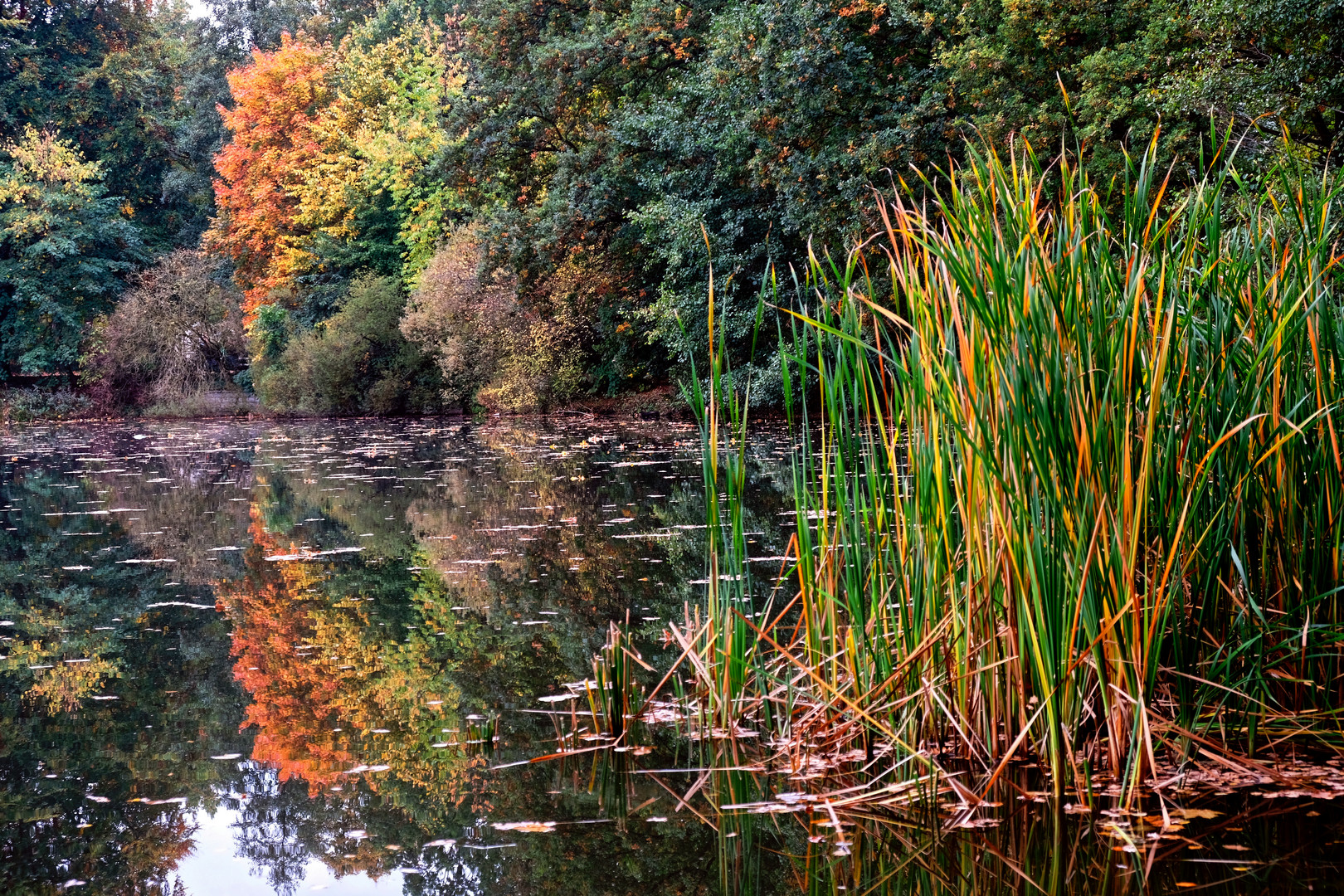 Herbstfarben