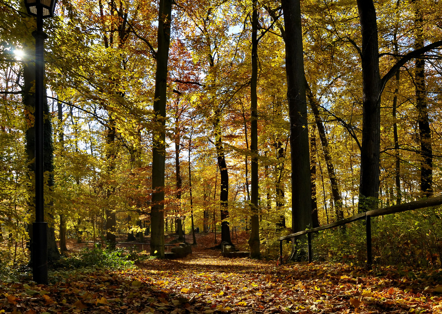 Herbstfarben