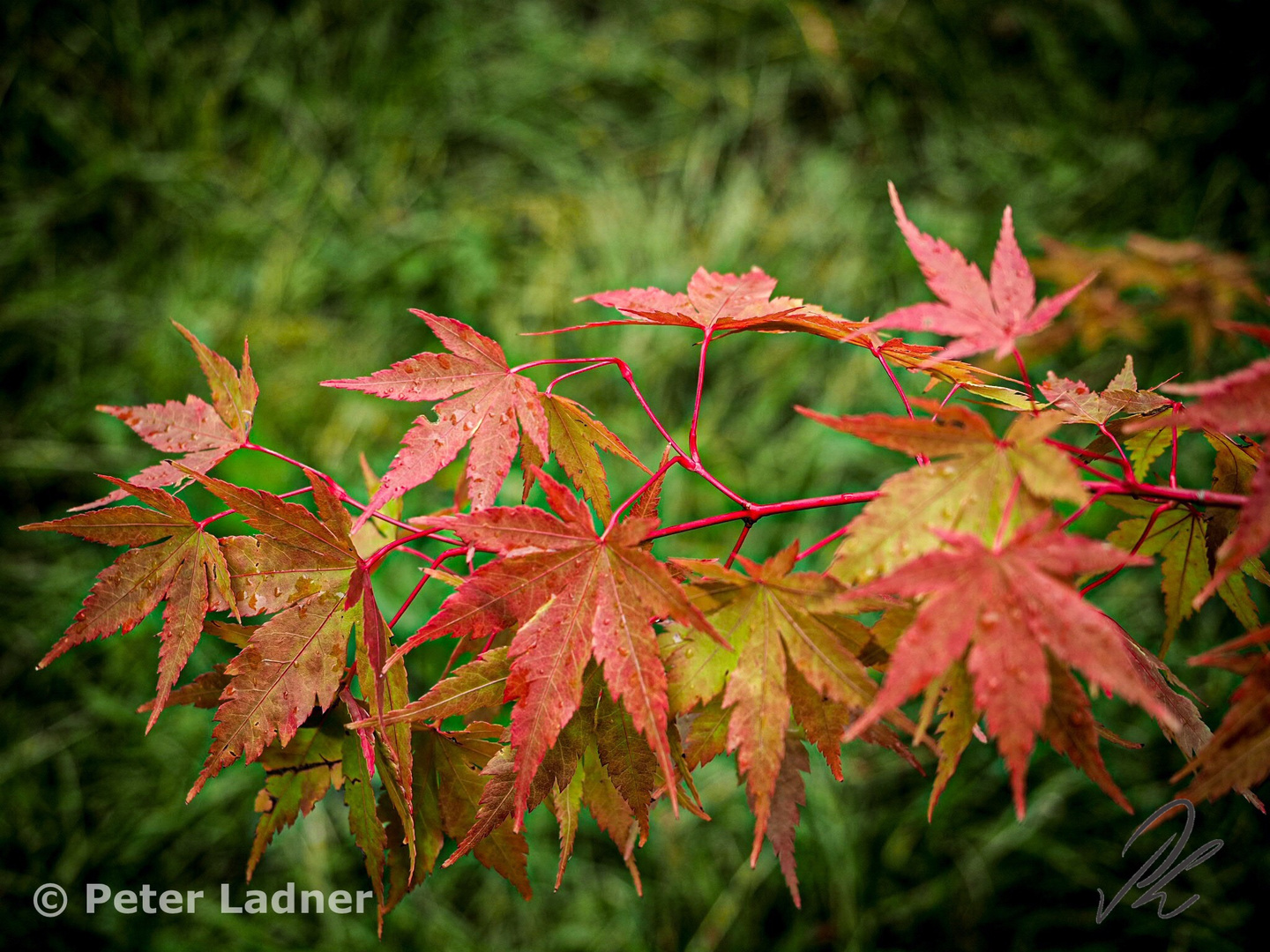 Herbstfarben