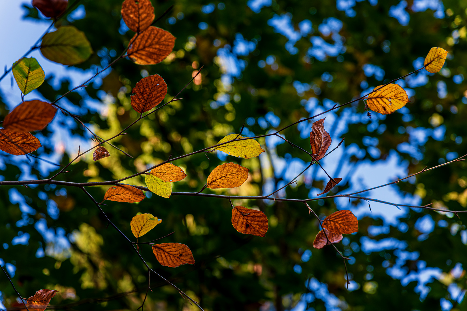 Herbstfarben