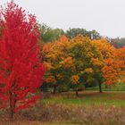 Herbstfarben