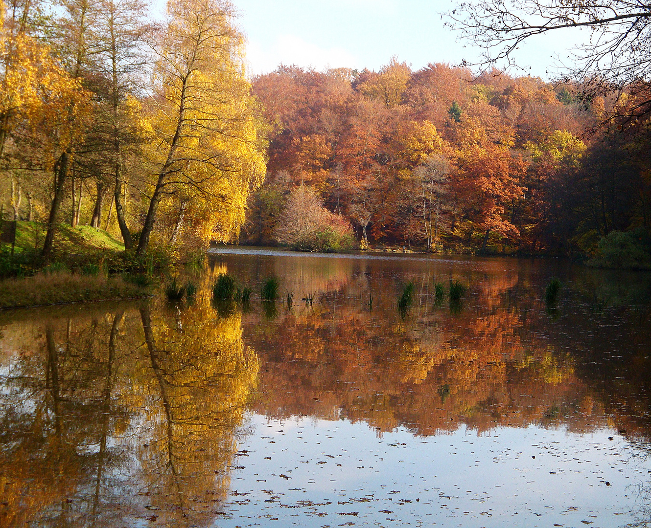 Herbstfarben