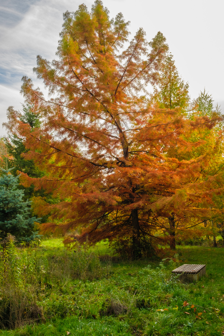 Herbstfarben