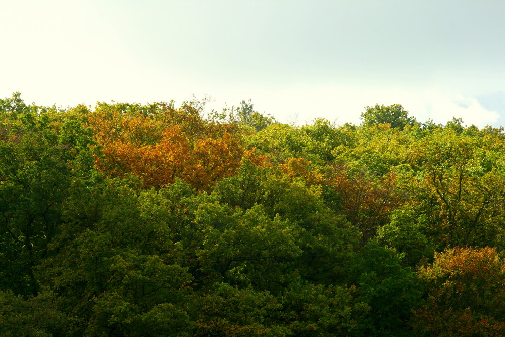 Herbstfarben