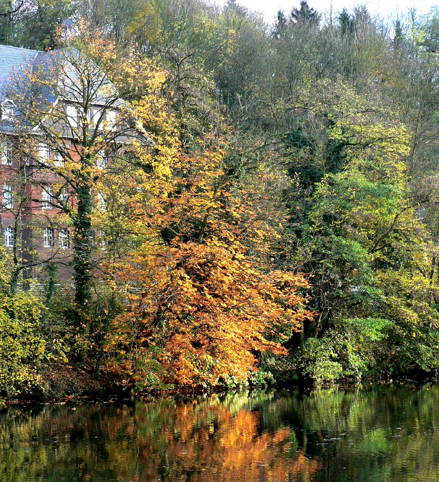 Herbstfarben