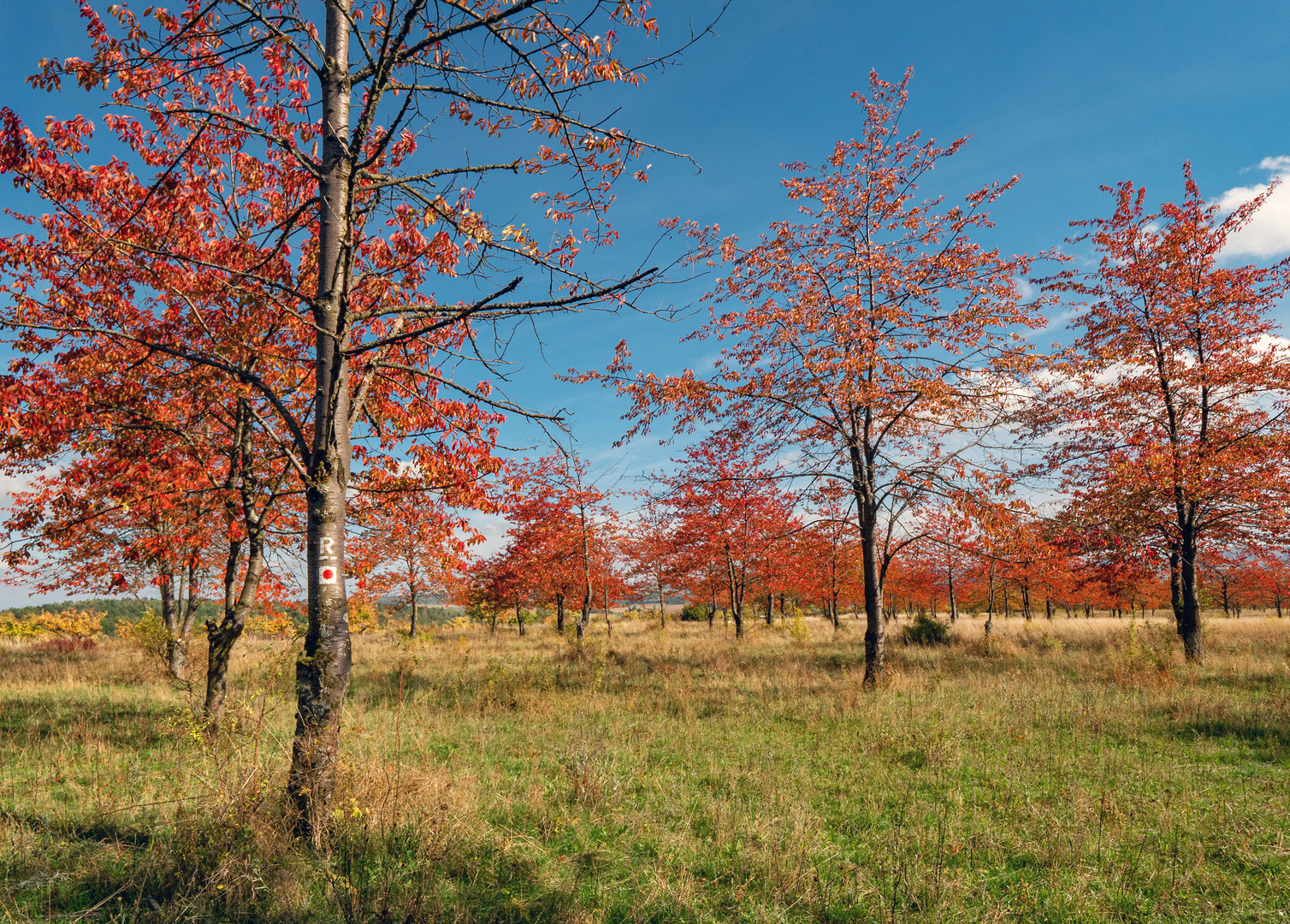 Herbstfarben