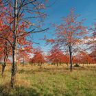 Herbstfarben