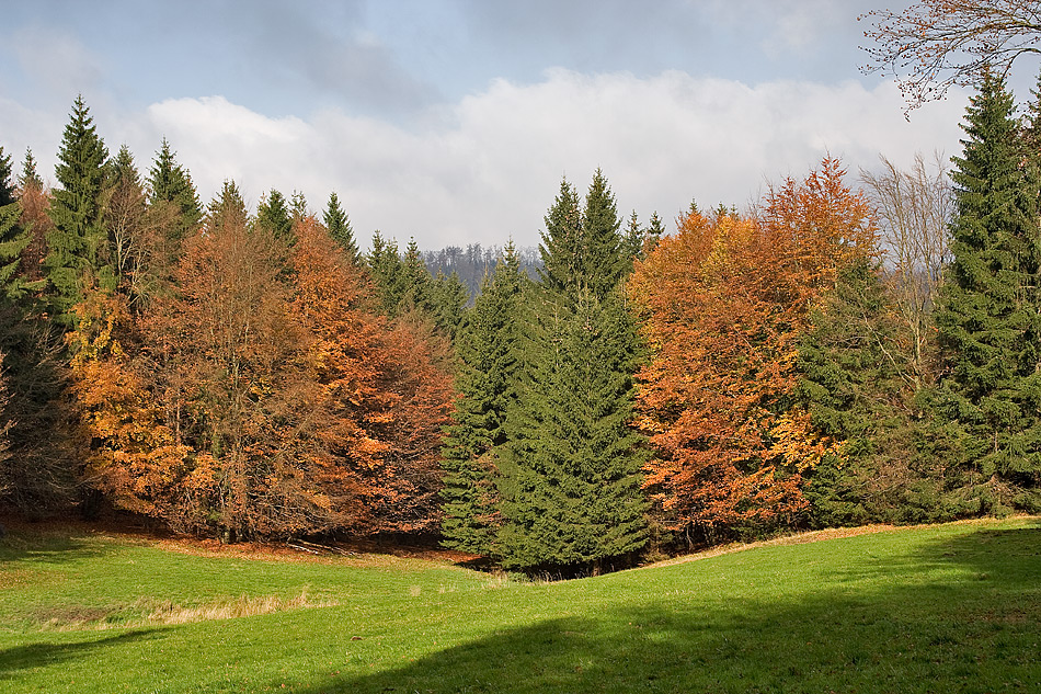 Herbstfarben....