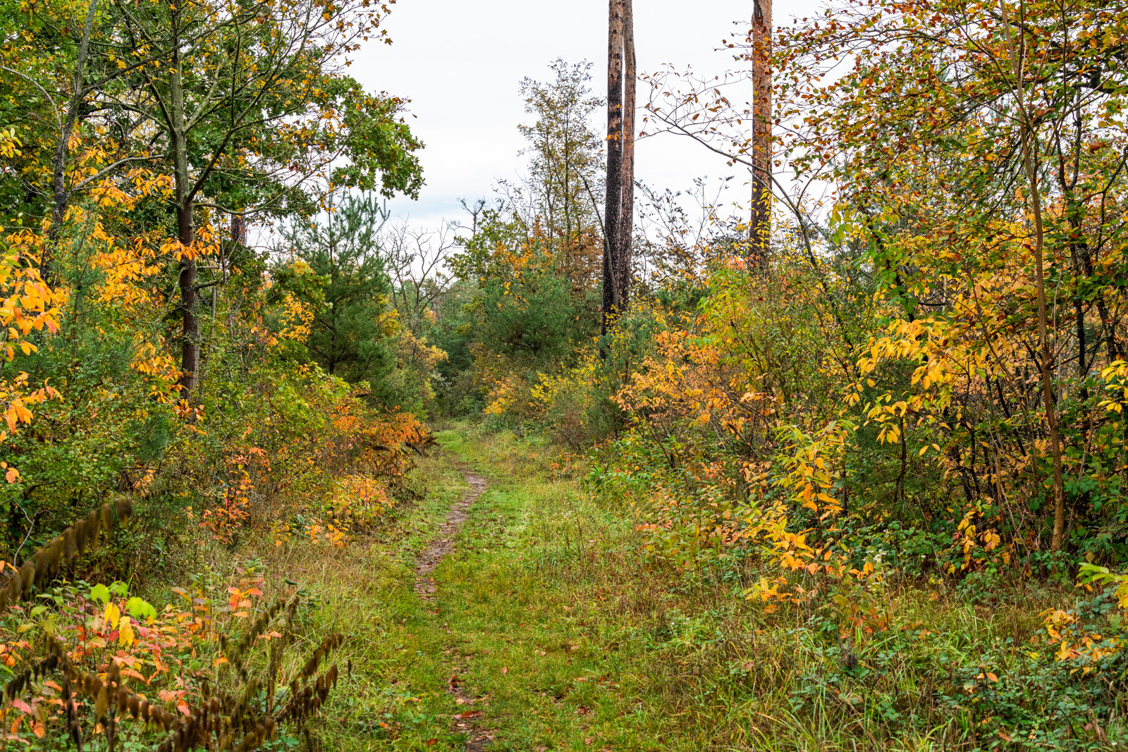 Herbstfarben