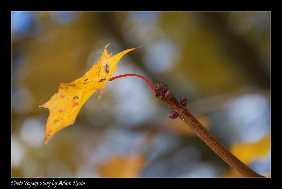 Herbstfarben