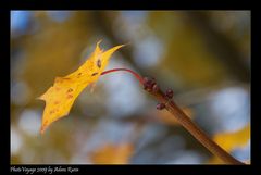 Herbstfarben