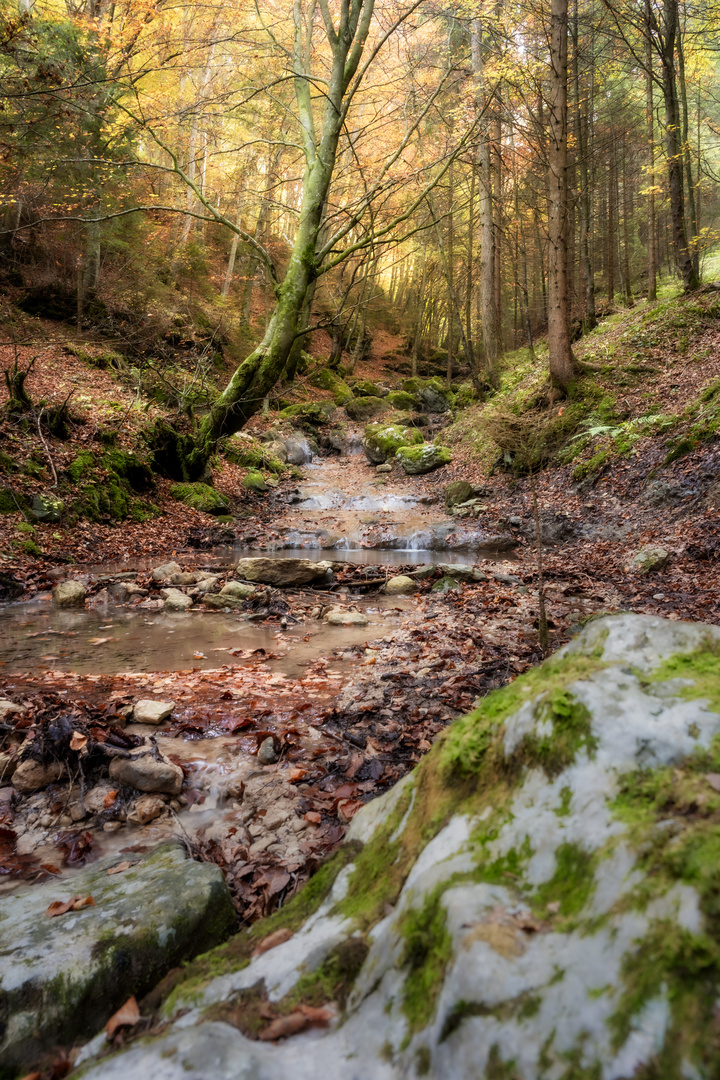 Herbstfarben