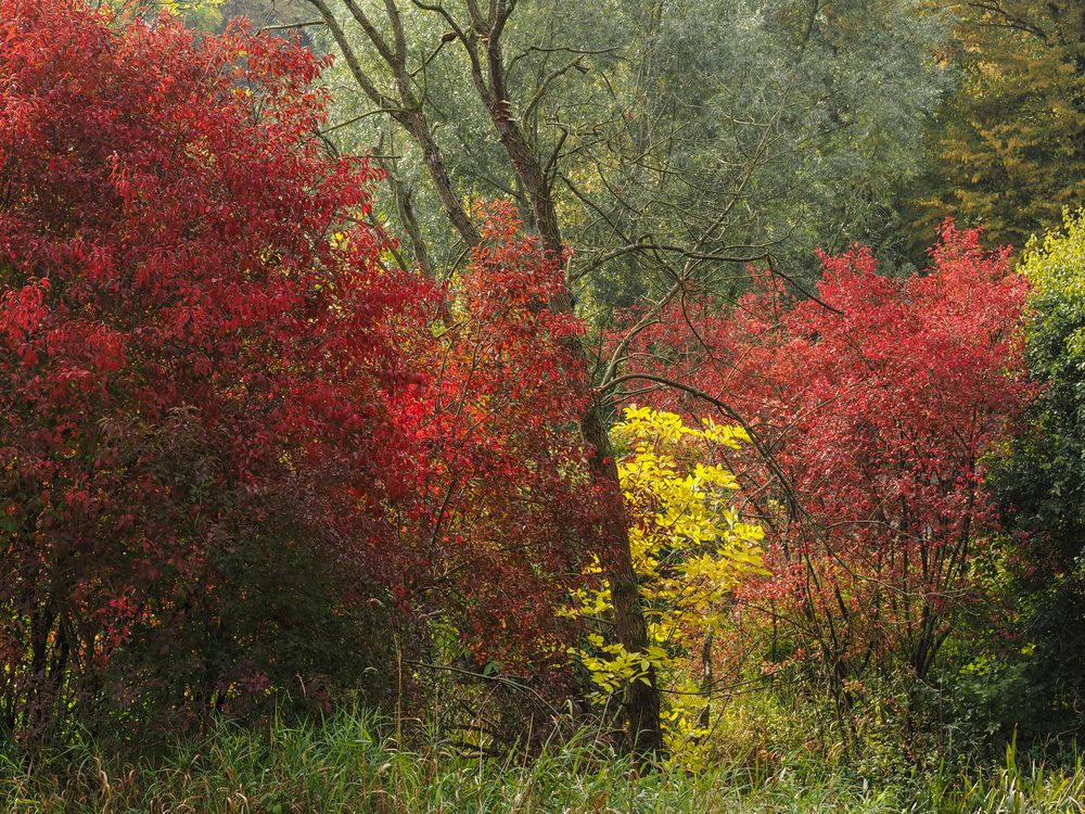 Herbstfarben