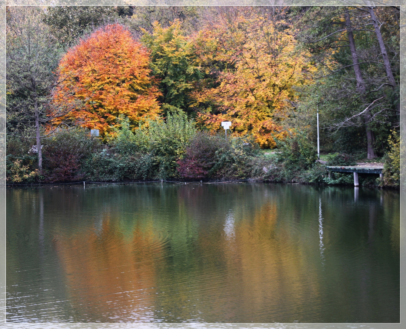 Herbstfarben fallen ins Auge