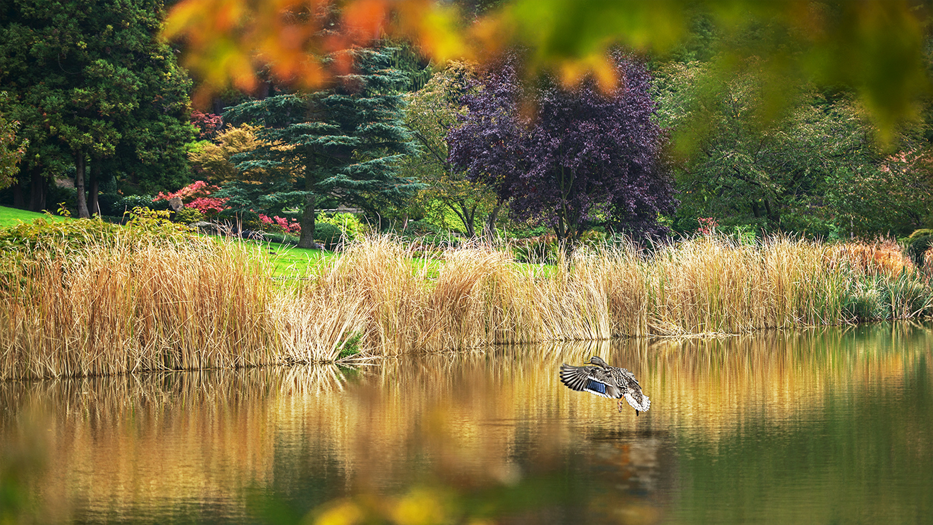 Herbstfarben