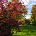 Herbstfarben ......