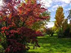 Herbstfarben ......