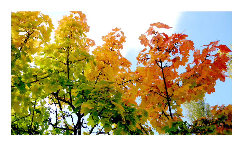 Herbstfarben