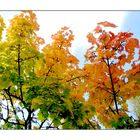 Herbstfarben