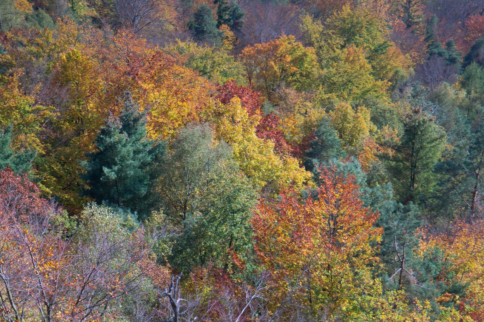 Herbstfarben