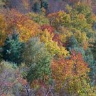 Herbstfarben