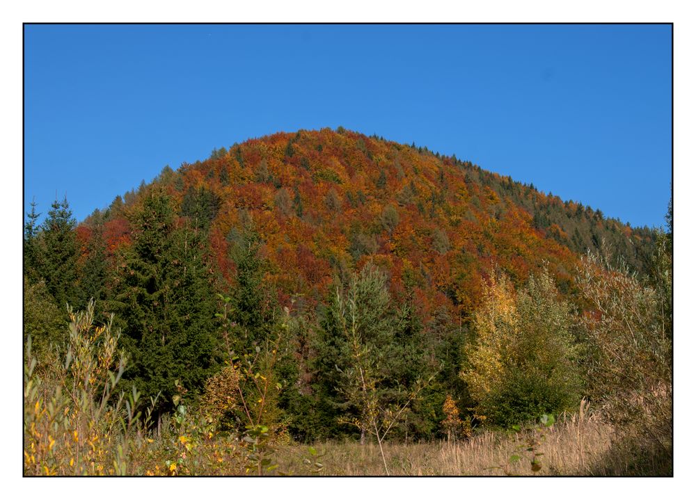 Herbstfarben