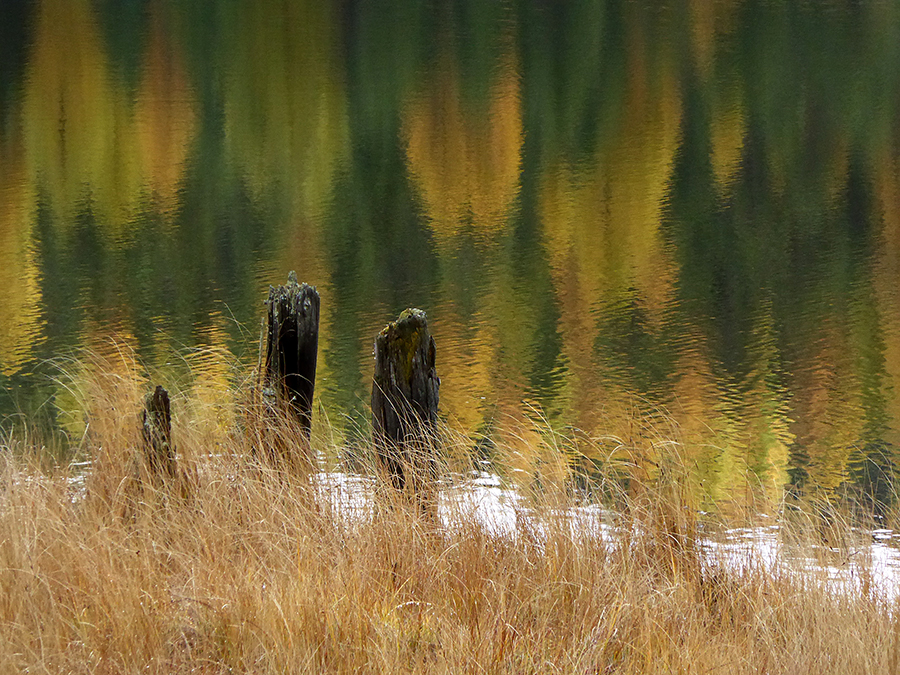 Herbstfarben