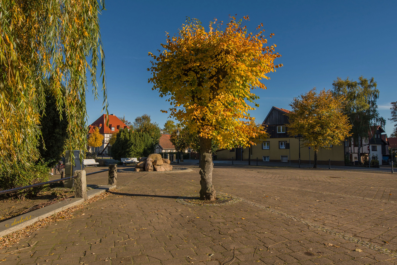 Herbstfarben gegen Herbstgrau