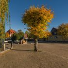 Herbstfarben gegen Herbstgrau