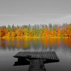 Herbstfarben (Hackensee 4-916m-2 vv)