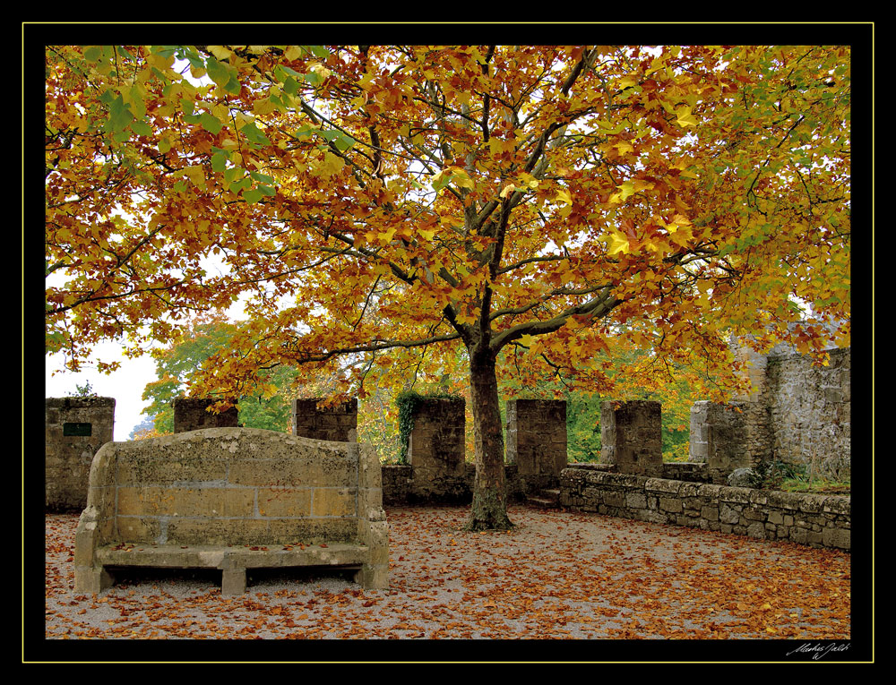 Herbstfarben I