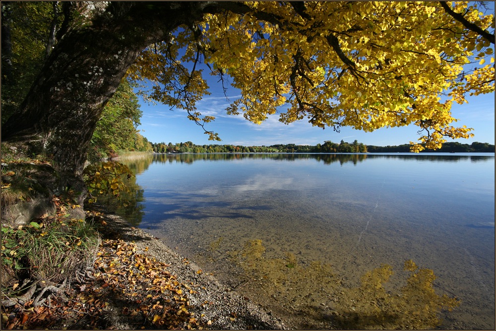 ~ Herbstfarben I ~