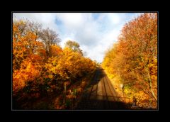 Herbstfarben (I)