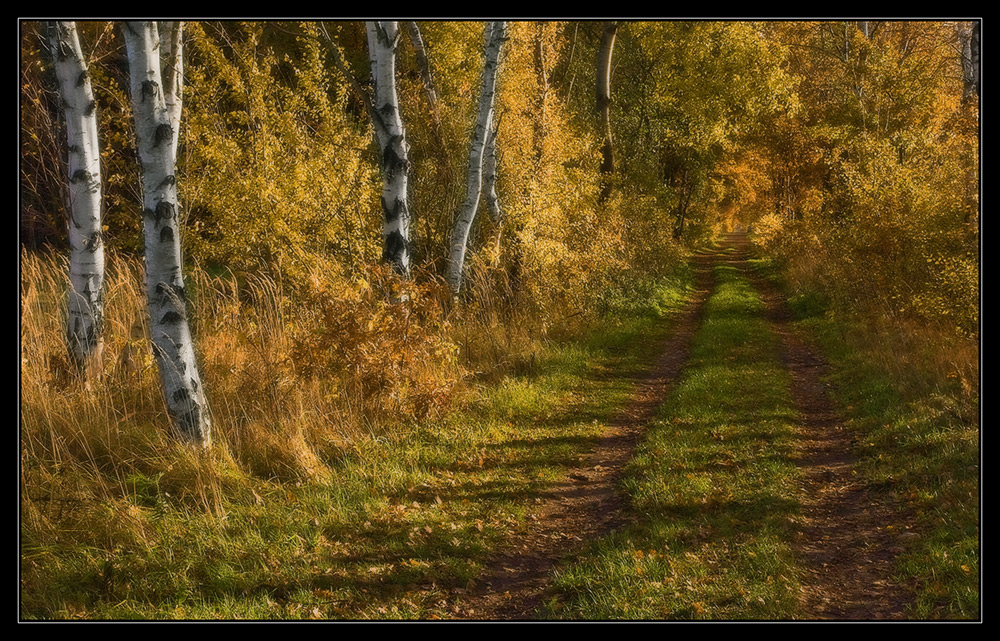 Herbstfarben II