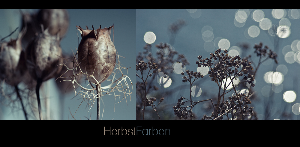 HerbstFarben II