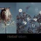 HerbstFarben II