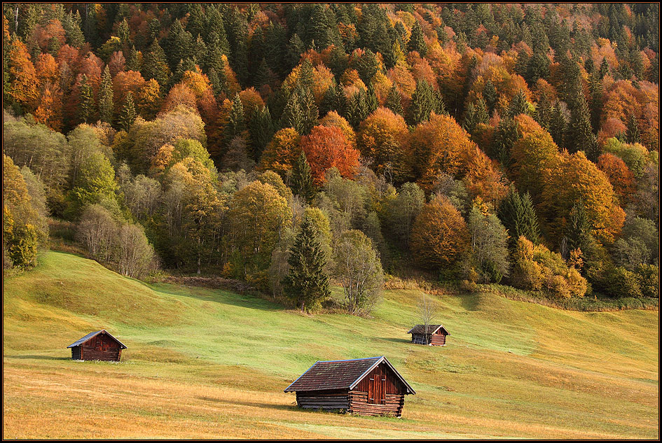 Herbstfarben II