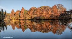 herbstfarben II....