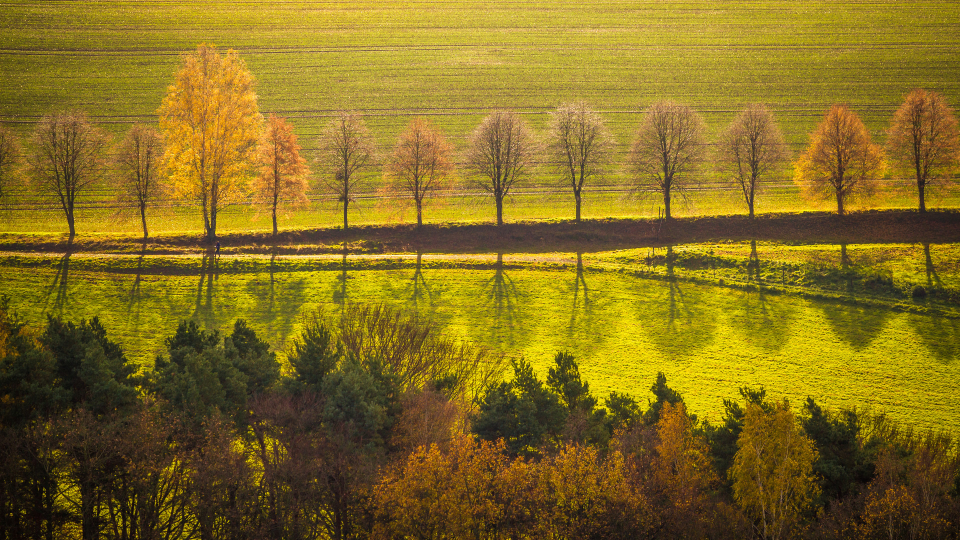 Herbstfarben II