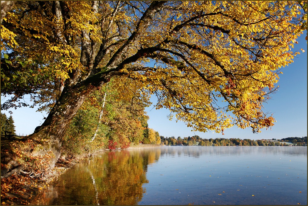 ~ Herbstfarben III ~