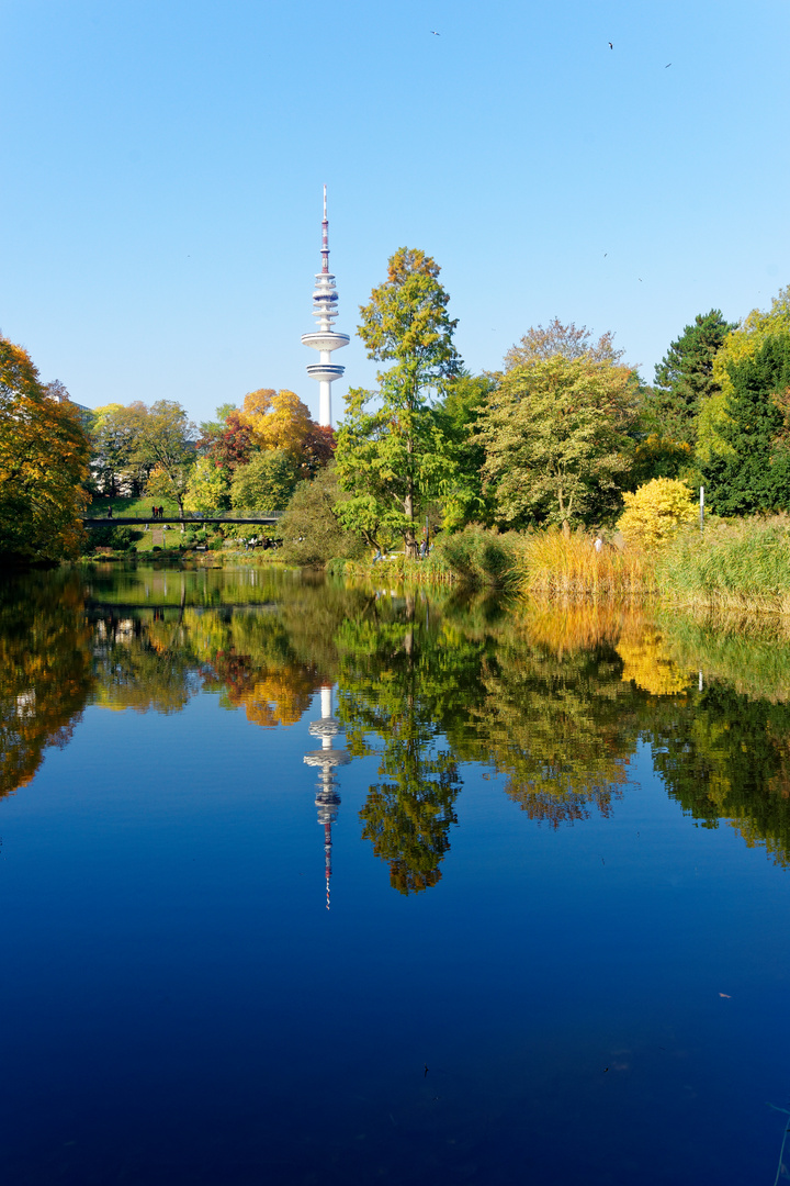 Herbstfarben III